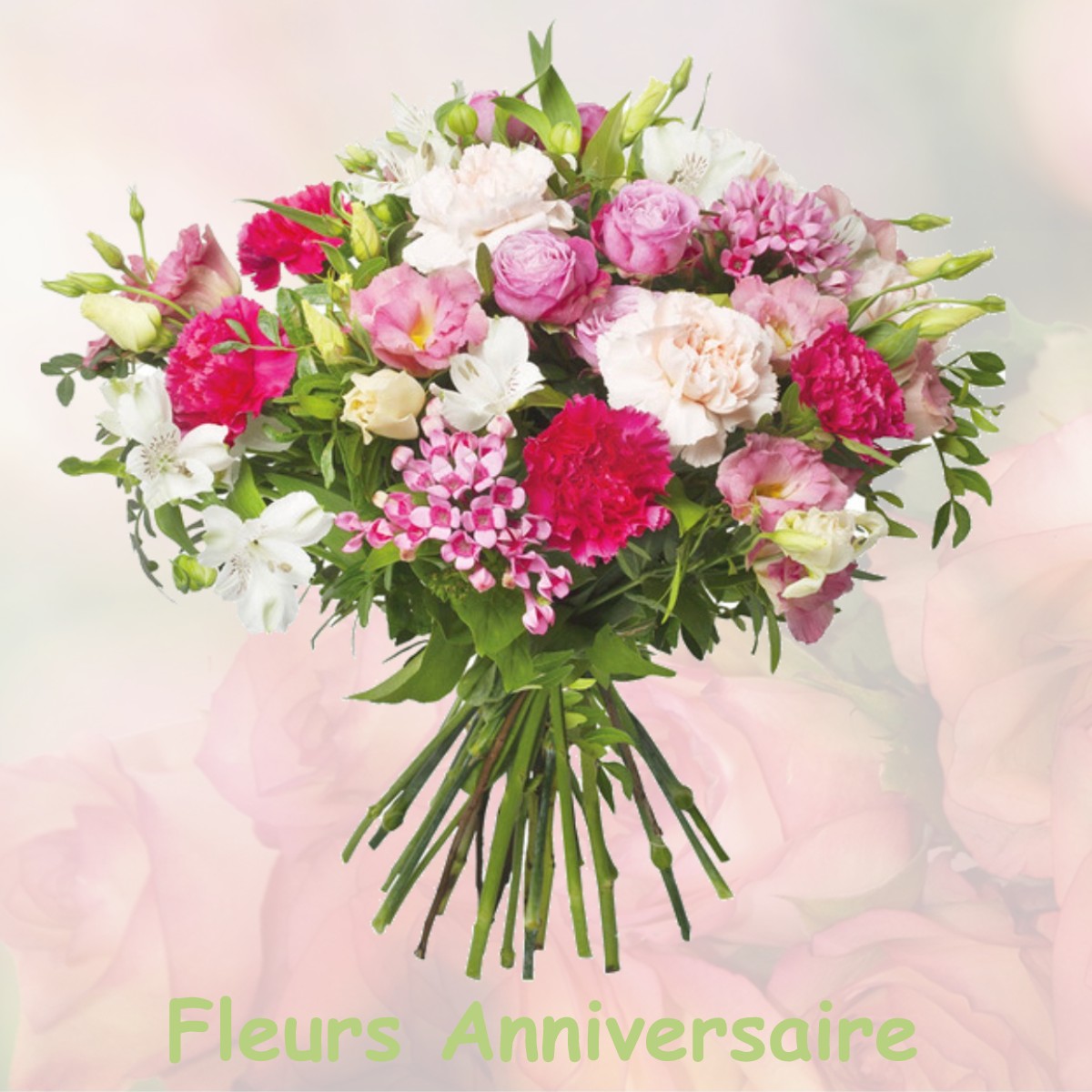 fleurs anniversaire FRANCHEVELLE
